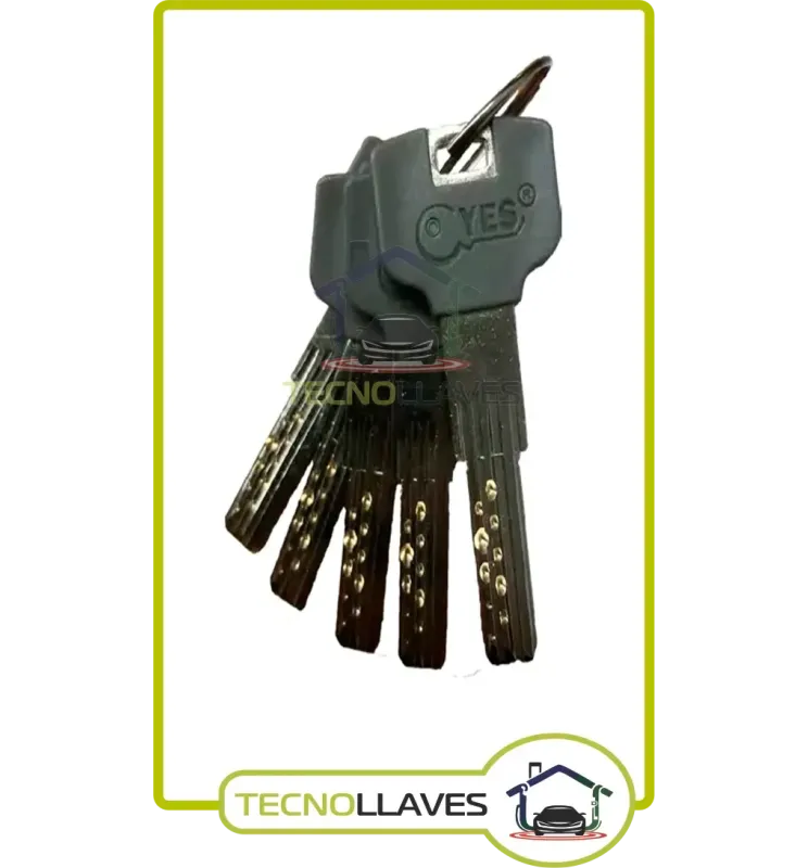 Cilindro Seguridad GERCAR 1 Cilindro De Cerradura De Perfil De 60 Mm 30/30 Incluye 5 Llaves, Cerradura De Cilindro Doble, Compatible Con Cierre Uniforme, Longitud: 60 Mm, A: 30 B: 30 Nvidia P40