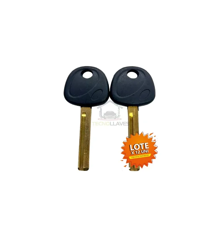 LLAVE AUTOGOMA REGATA  KIA/HIUNDAY REGATA LATERAL - 1R