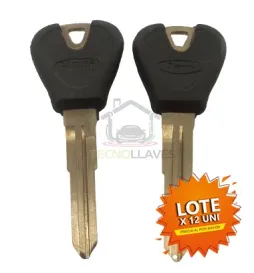 LLAVE AUTOGOMA FORD - FOD15P
