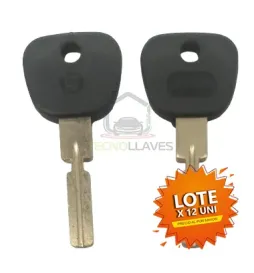 LLAVE AUTOGOMA REGATA BMW -...