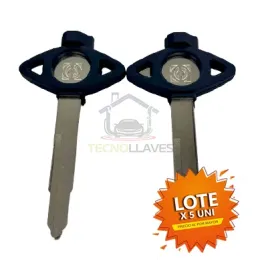 LLAVE AUTOGOMA FIJA BWS 2 -...
